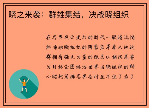 晓之来袭：群雄集结，决战晓组织