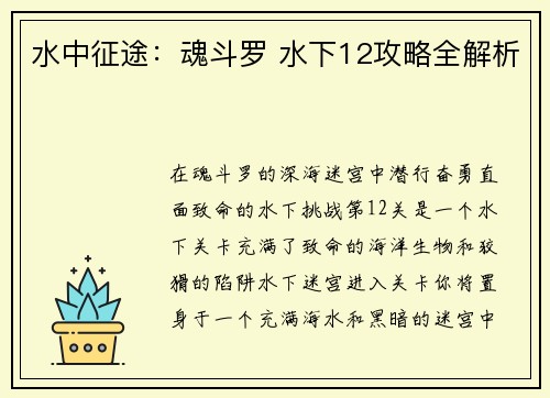 水中征途：魂斗罗 水下12攻略全解析